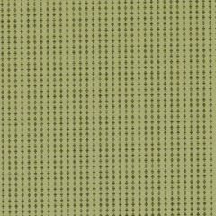 Duralee Contract 90939 21-Avocado 377232 Sophisticated Suite II Collection Indoor Upholstery Fabric