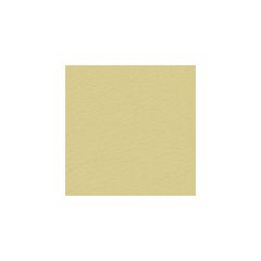 Kravet Basics  3777-116  Drapery Fabric