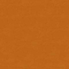 Kravet Couture Orange 33886-404 Multipurpose Fabric
