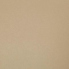 Kravet Contract Syrus Quicksand 61 Indoor Upholstery Fabric