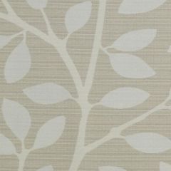 Duralee Contract Do61531 220-Oatmeal 380100 Drapery Fabric