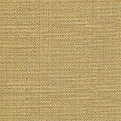 Duralee Contract 90962 258-Mustard 380752 Crypton Woven Jacquards IX Collection Indoor Upholstery Fabric