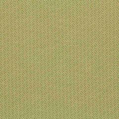 Robert Allen Wave Maze Lemongrass 214736 Crypton Transitional Collection Indoor Upholstery Fabric