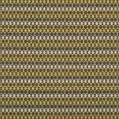 Kravet Contract Role Model Lotus 35092-13 GIS Crypton Collection Indoor Upholstery Fabric