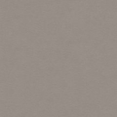 Lee Jofa Ultimate Foil 960122-1106 Ultimate Suede Collection Indoor Upholstery Fabric