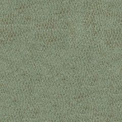 Kravet Luminary Liquid 32491-35 by Candice Olson Indoor Upholstery Fabric