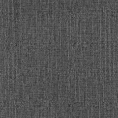 Kravet Grasscloth Charcoal AMW10032-21 Andrew Martin Museum Collection Wall Covering
