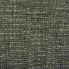 Kravet Basics 35189-821 Multipurpose Fabric