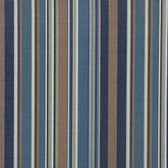 Phifertex Palazzo Stripe Harbor LFX 54-inch Sling Upholstery Fabric
