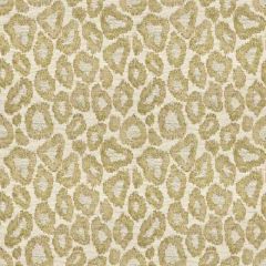 Stout Tutsi Taupe 1 Rainbow Library Collection Indoor Upholstery Fabric