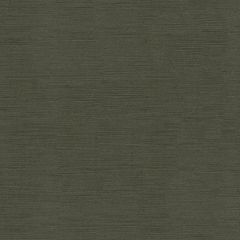 Kravet Couture Grey 32949-21 Luxury Velvets Indoor Upholstery Fabric