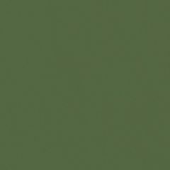 Spirit 529 Olive Green Contract Marine Automotive and Healthcare Upholstery Fabric