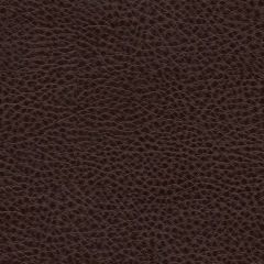 ABBEYSHEA Amarillo 8019 Satchel Indoor Upholstery Fabric