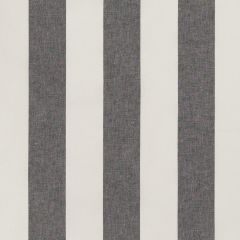 Duralee Black / White DJ61805-295 Pirouette All Purpose Collection Multipurpose Fabric