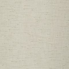 Robert Allen Peyton Dove 243291 Drapeable Tonal Textures Collection Multipurpose Fabric
