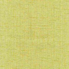 ABBEYSHEA Miura Citrine 202 Indoor Upholstery Fabric