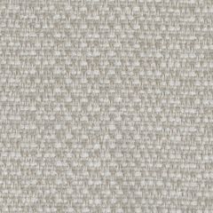 Perennials Wild and Wooly White Sands 976-270 Rodeo Drive Collection Upholstery Fabric
