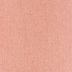Robert Allen Tinson Weave Coral Reef Heathered Textures Collection Multipurpose Fabric