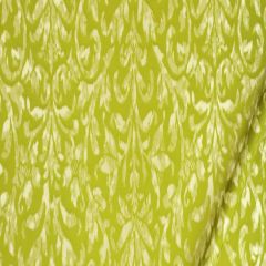 Beacon Hill Hana Frame-Chartreuse 234647 Decor Drapery Fabric
