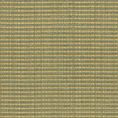 Kravet Smart Green 32946-516 Indoor Upholstery Fabric