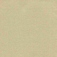Tempotest Home Mocha 14/15 Solids Collection Upholstery Fabric
