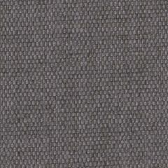 Perennials Tisket Tasket Grey Hills 920-317 Rodeo Drive Collection Upholstery Fabric