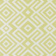 Duralee Wasabi DW16046-609 The Tradewinds Indoor-Outdoor Woven Collection  Upholstery Fabric