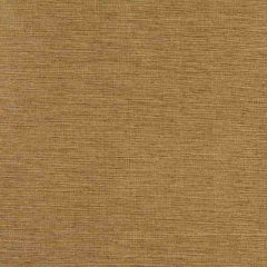 Robert Allen Plain Elegance-Sesame II 215390 Decor Multi-Purpose Fabric