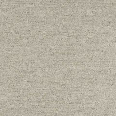 Robert Allen Olecko Oyster 508582 Epicurean Collection Indoor Upholstery Fabric