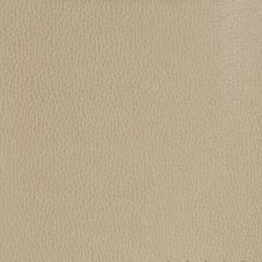 Kravet Design Beige Gillian 1616 Indoor Upholstery Fabric