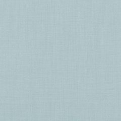 Duralee Aqua 36262-19 Decor Fabric