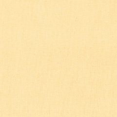 Stout Oakley Butter 4 Fairwind Canvas Collection Multipurpose Fabric