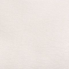 Kravet Contract Maximo Pearl 101 Indoor Upholstery Fabric