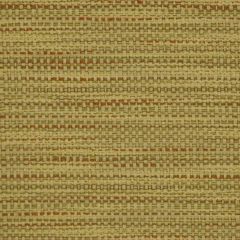 Robert Allen Stitch Work Honeysuckle 197592 Indoor Upholstery Fabric