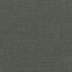 Perennials Raw Passion Grey Matter 630-217 More Amore Collection Upholstery Fabric