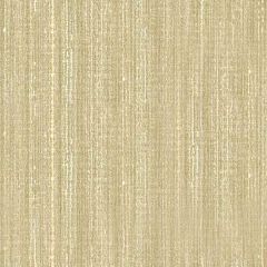 Kravet Basics Beige 34672-116 Silken Textures Collection Multipurpose Fabric