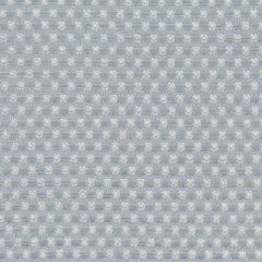 Beacon Hill Kilfenora-Moonstone 218597 Decor Upholstery Fabric