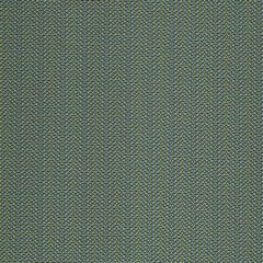 Robert Allen Contract Syncopation Curacao 244161 the Penthouse Collection by Kirk Nix Upholstery Fabric