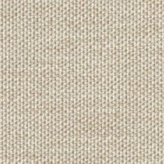 Perennials Whippersnapper Parchment 925-02 Rodeo Drive Collection Upholstery Fabric