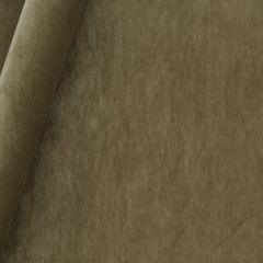 Robert Allen Premium Lush Twig 245013 Modern Caravan Collection by DwellStudio Indoor Upholstery Fabric