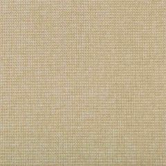Kravet Contract Burr Linen 35745-116 Performance Kravetarmor Collection Indoor Upholstery Fabric