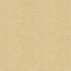 Kravet Smart Tan 33002-1116 Guaranteed in Stock Indoor Upholstery Fabric