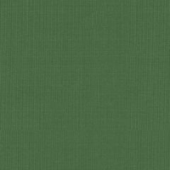 F Schumacher Sargent Silk Taffeta Grass 22654 Indoor Upholstery Fabric