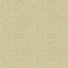 Kravet Smart Beige 32924-116 Guaranteed in Stock Indoor Upholstery Fabric