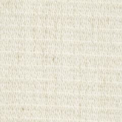 Beacon Hill Pebble Weave Travertine 241412 Plush Boucle Solids Collection Indoor Upholstery Fabric