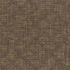 ABBEYSHEA Capture 67 Hemp Indoor Upholstery Fabric