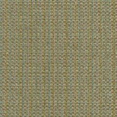 Kravet King Pool 28769-15 Guaranteed in Stock Indoor Upholstery Fabric