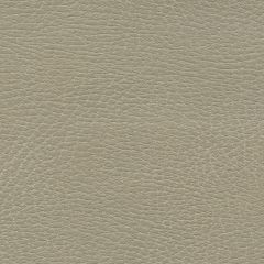 F. Schumacher Brisa Distressed Dune 335-3869 Ultraleather Collection