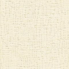 Kravet Thatcher Ivory 34134-1 by Candice Olson Indoor Upholstery Fabric