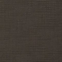 Robert Allen Happy Hour-Cobblestone 193496 Decor Upholstery Fabric